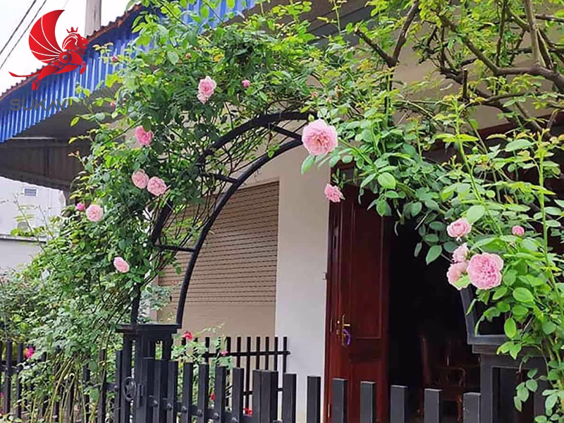 Khung giàn hoa sắt ngoài trời - nền tảng cho không gian sống bền bỉ và thẩm mỹ