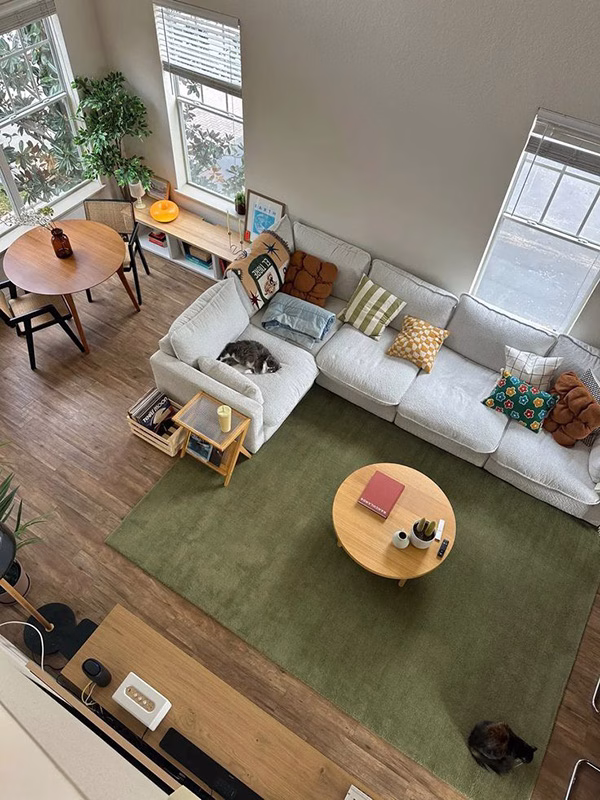 Modular Sofa for a Small Apartment: Make Your Living Room Feel Bigger